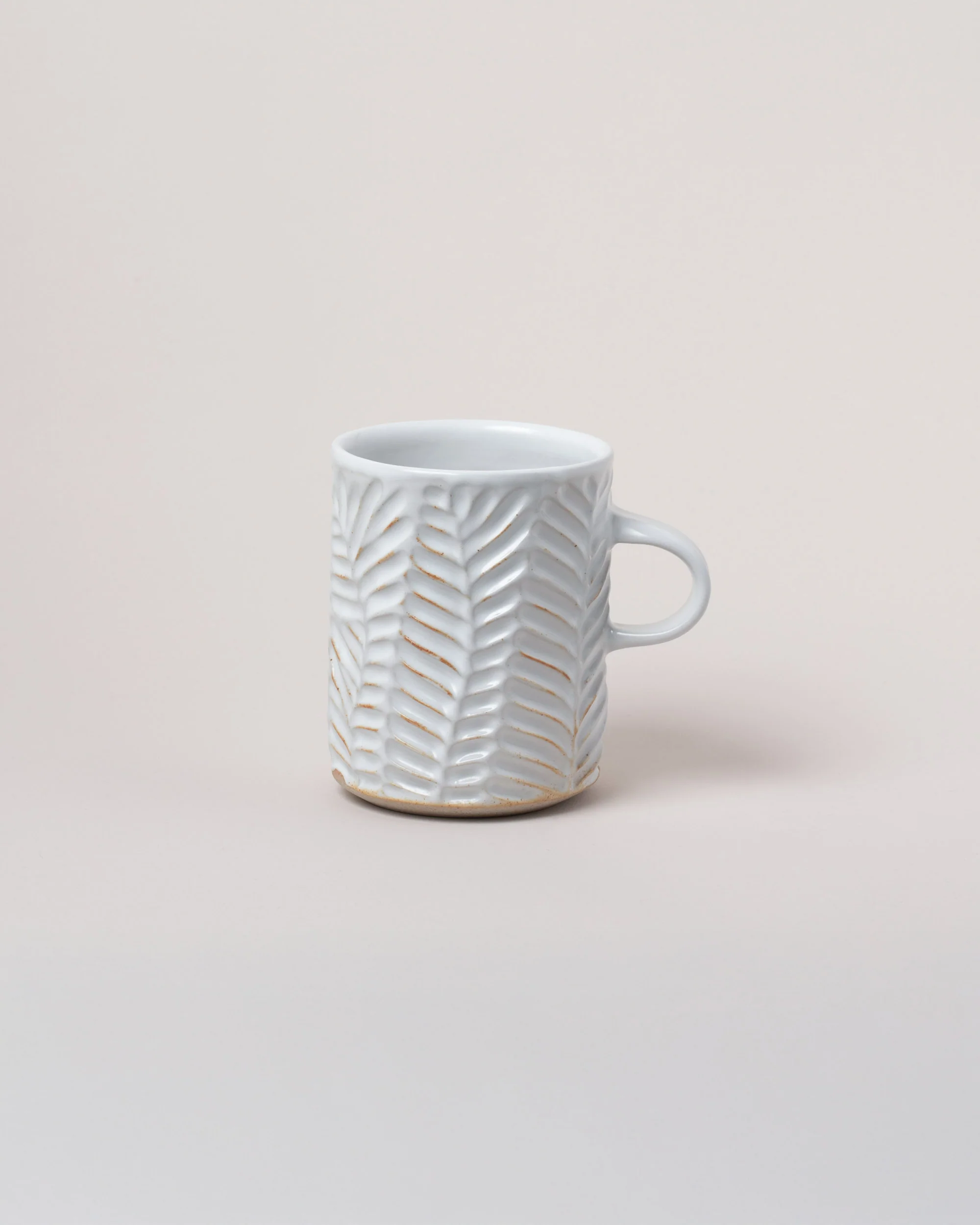 Magnetic Lineation Mug