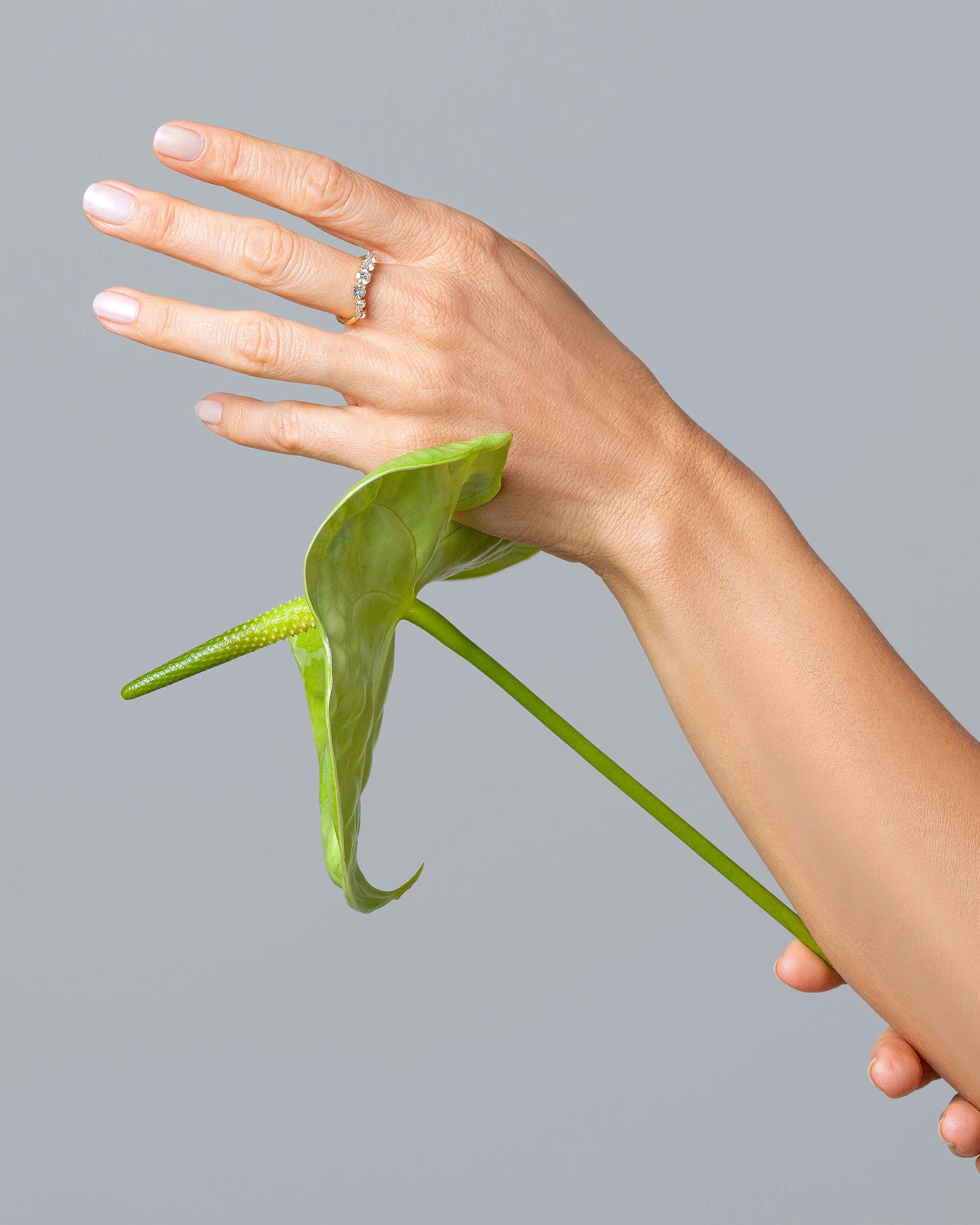 Bound Band - Image 4