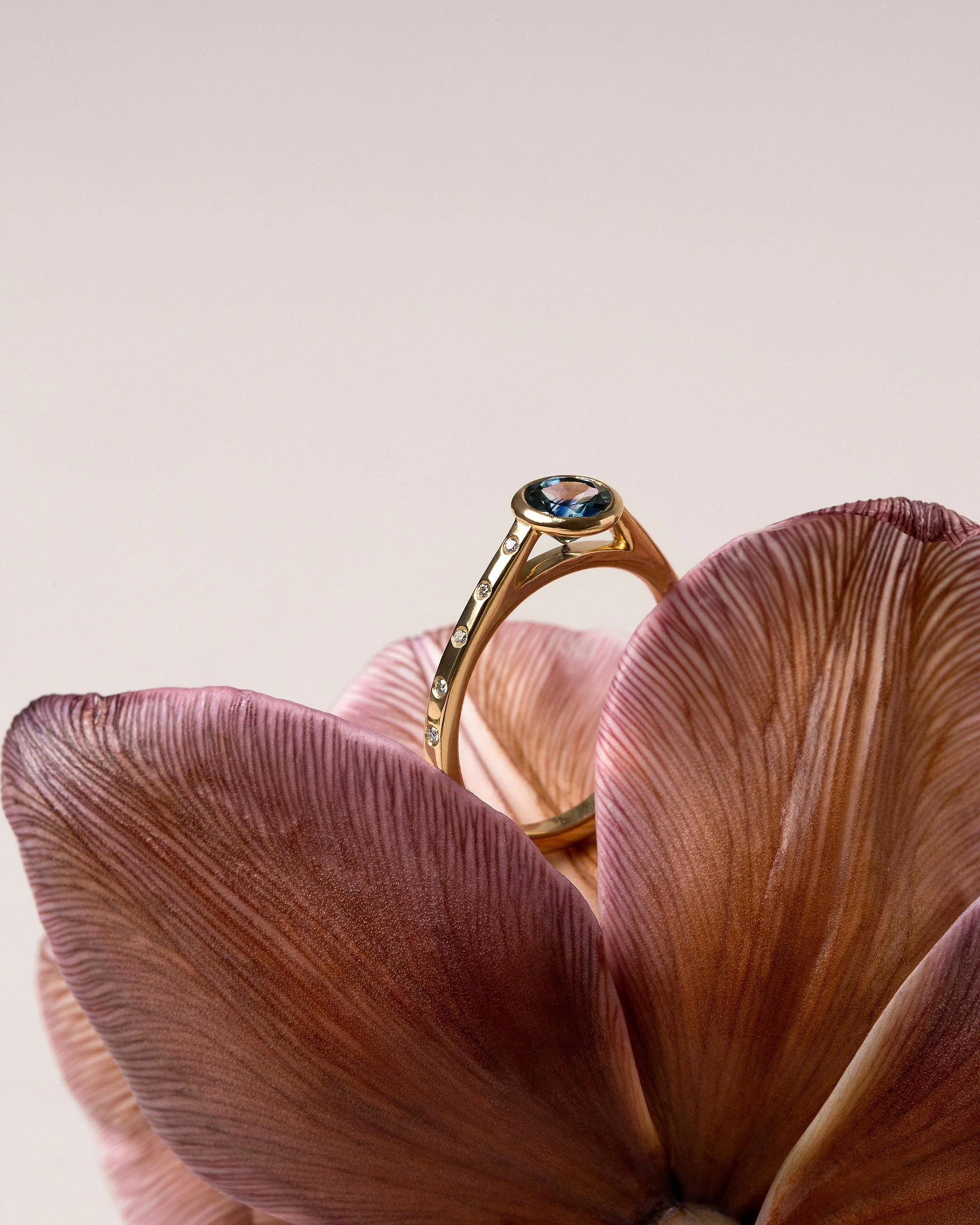 Calatrava Ring - Blue Sapphire - Image 4