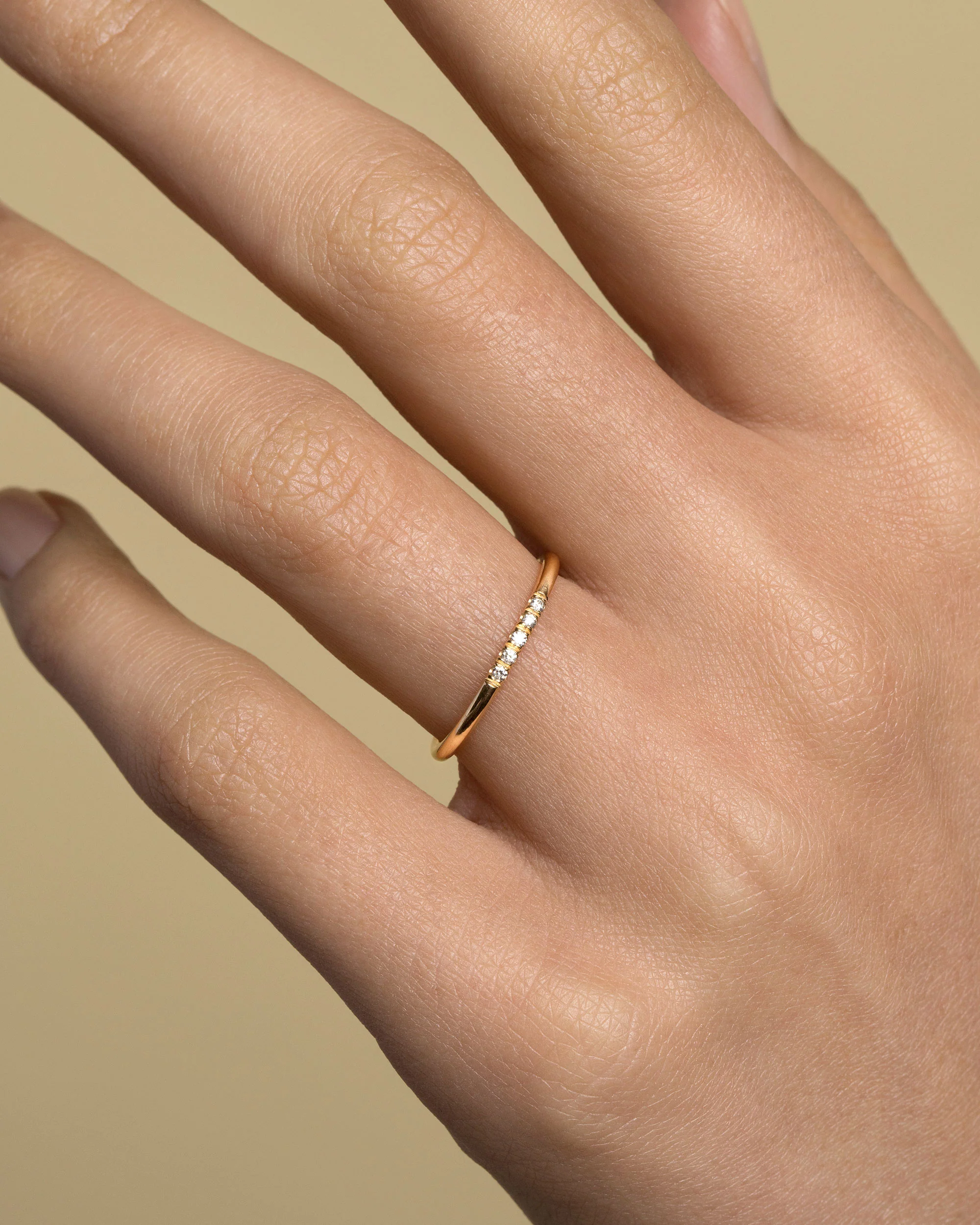 Dot Band - Solid - Image 2