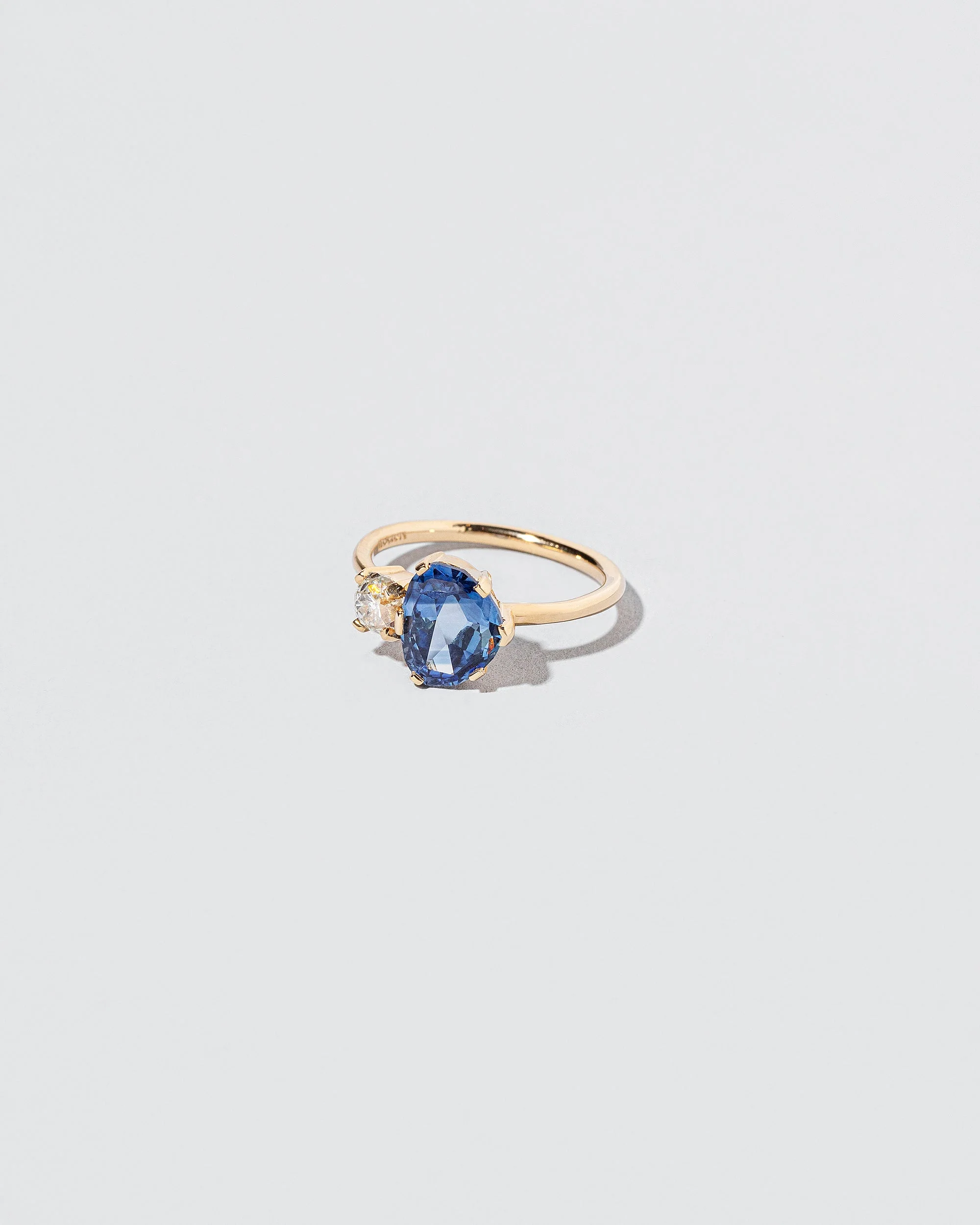 Extension Ring - Image 2