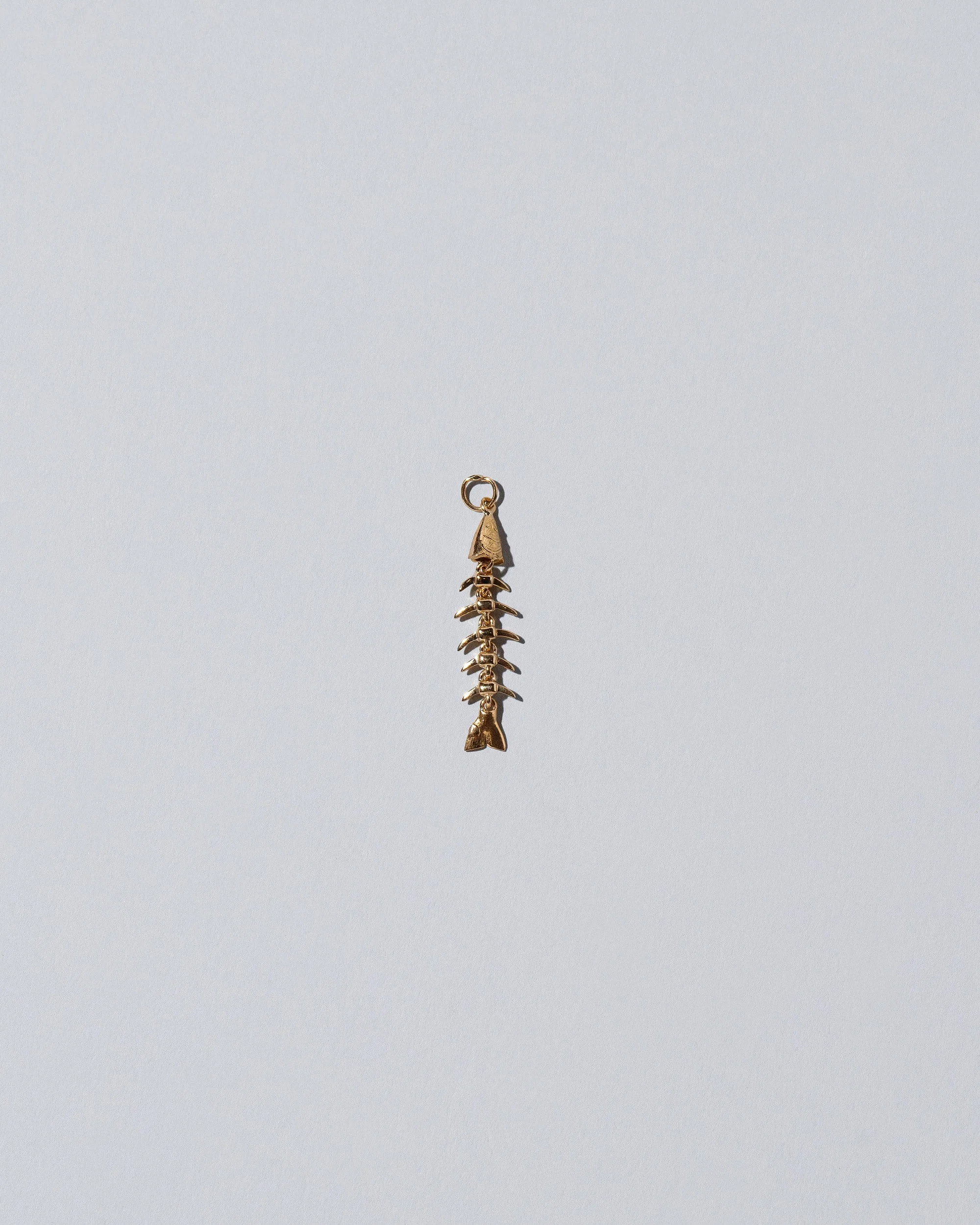 Skeletal Fish Charm