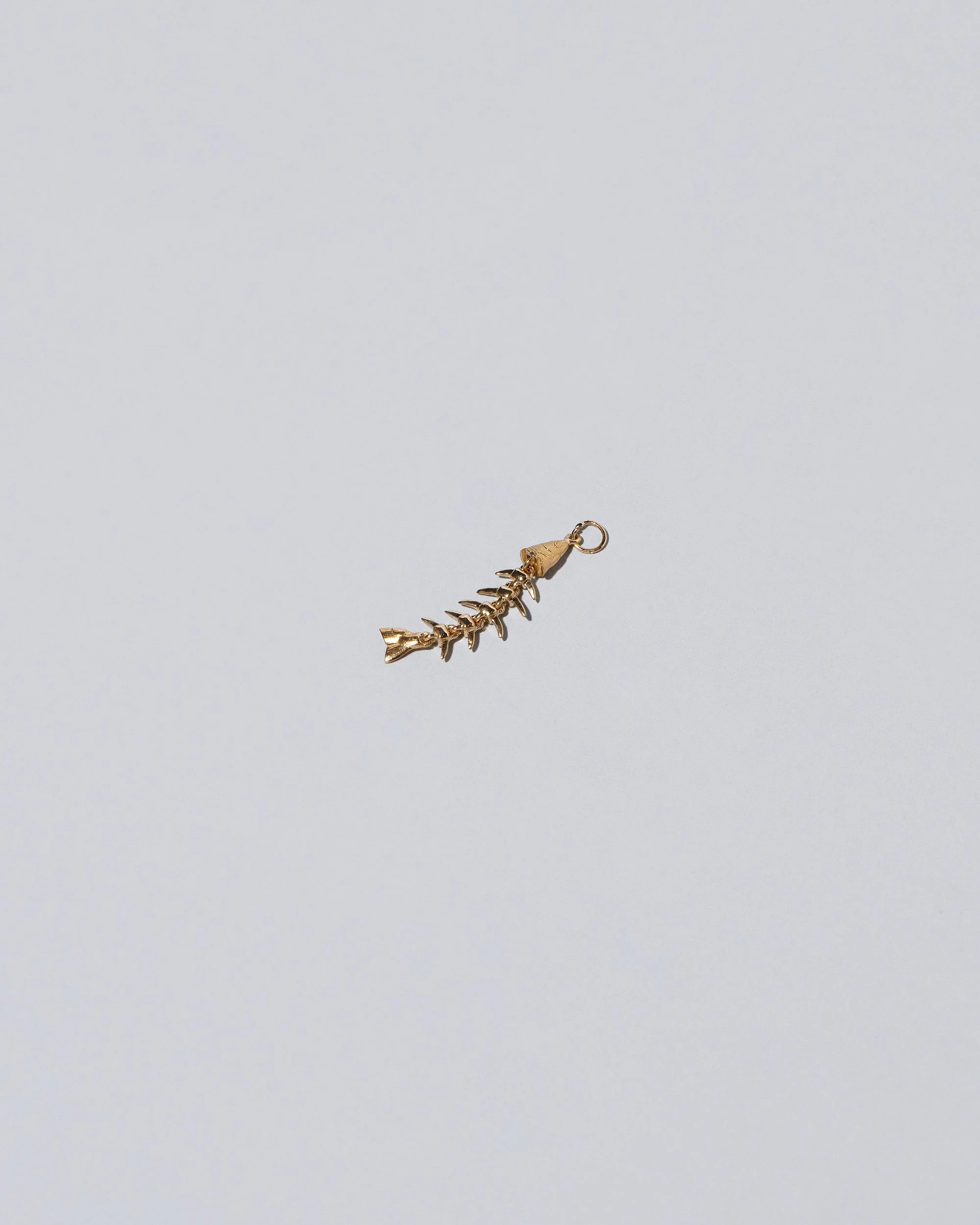 Skeletal Fish Charm - Image 2