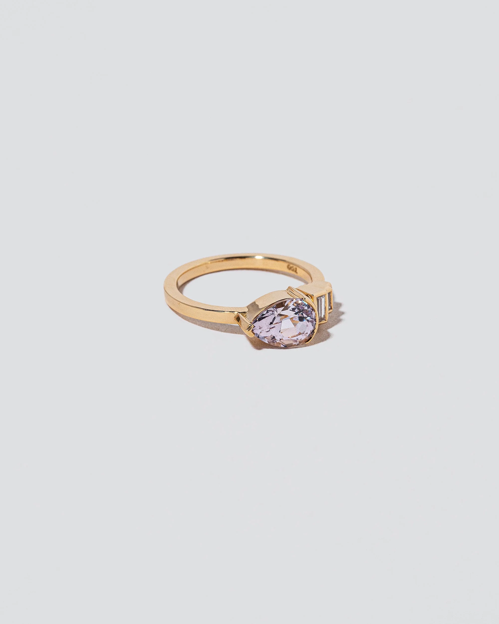 Fixation Ring - Image 2