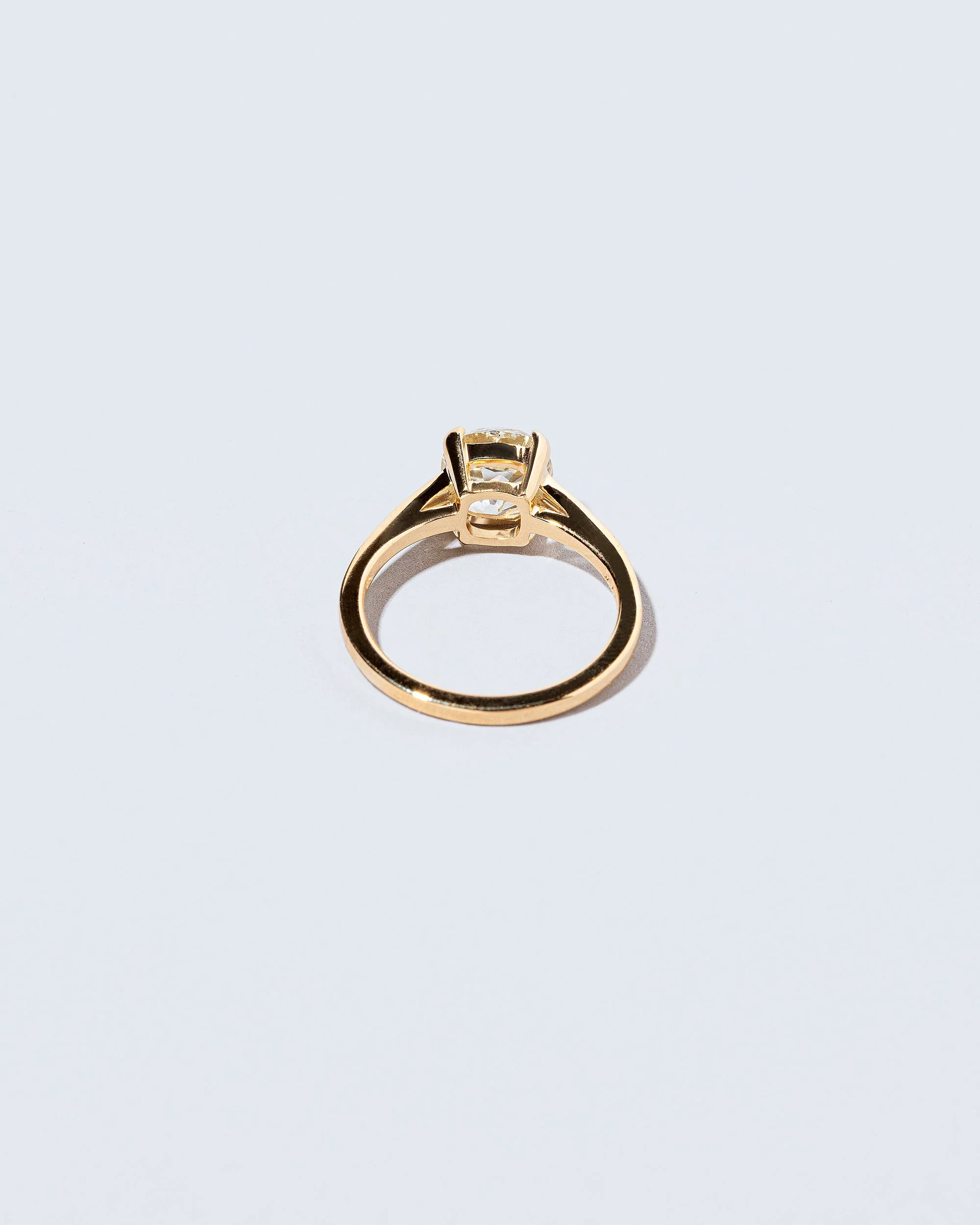 Ichor Ring - Image 4