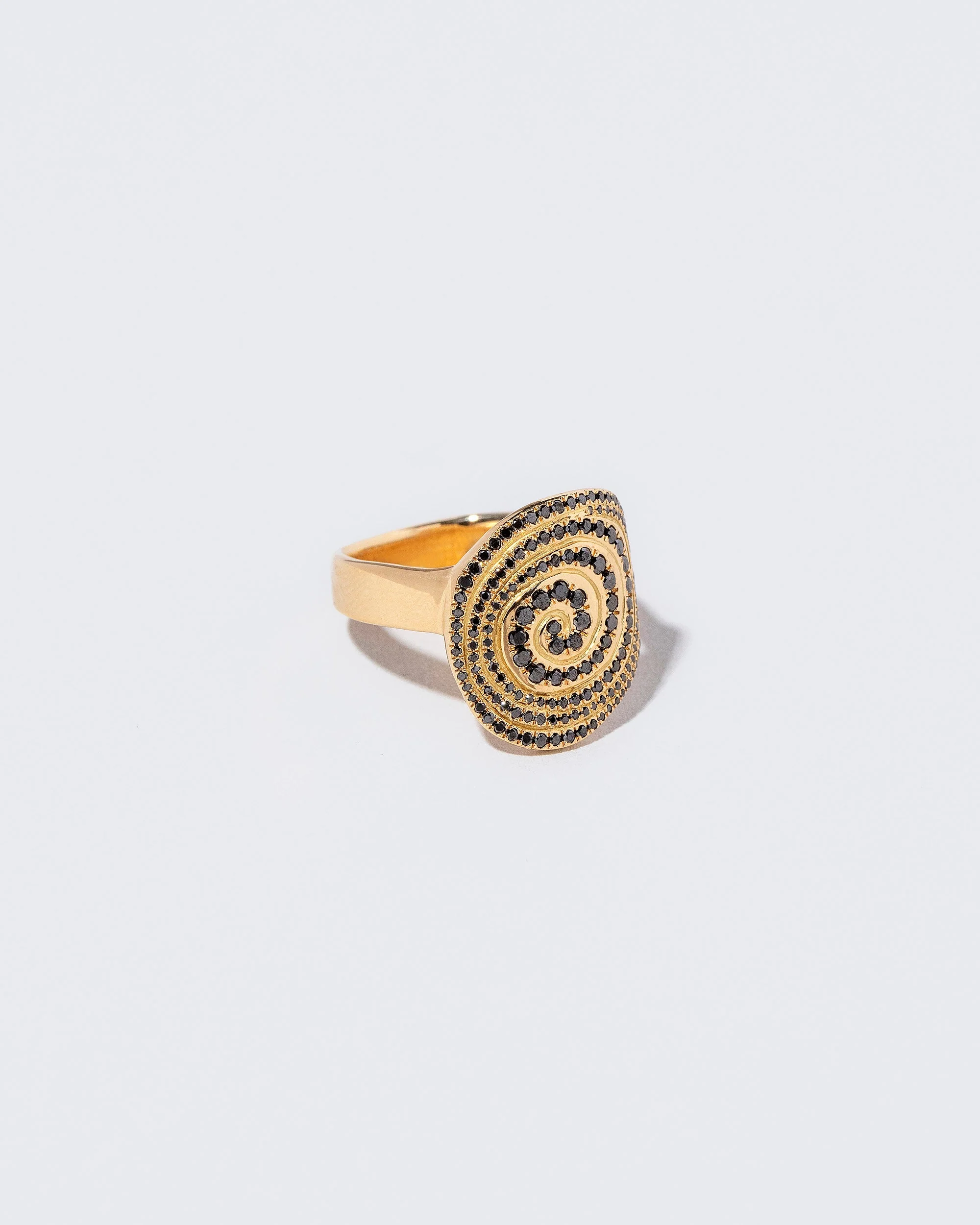 Lifecycle Ring - Image 4