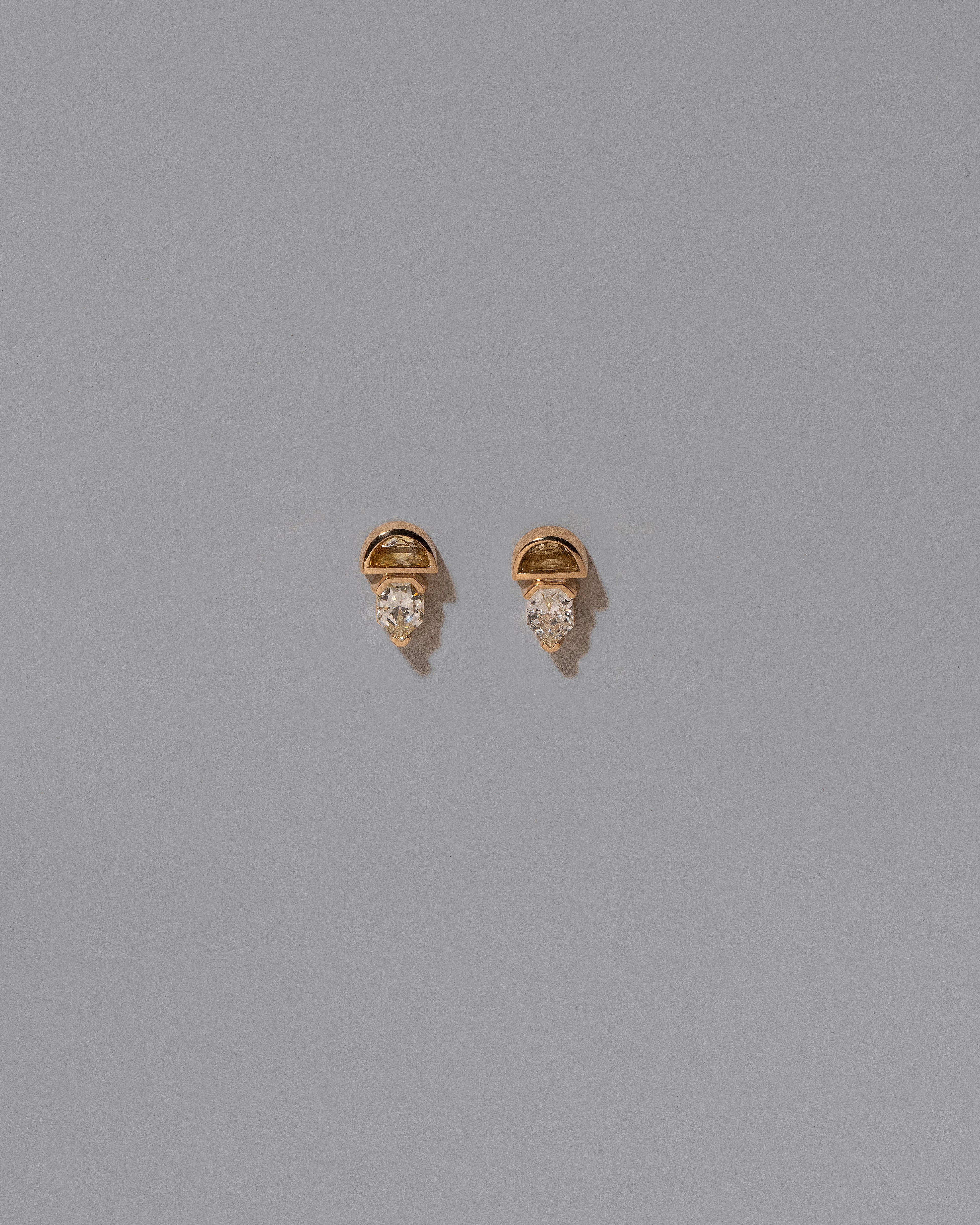 Delphinus Earrings
