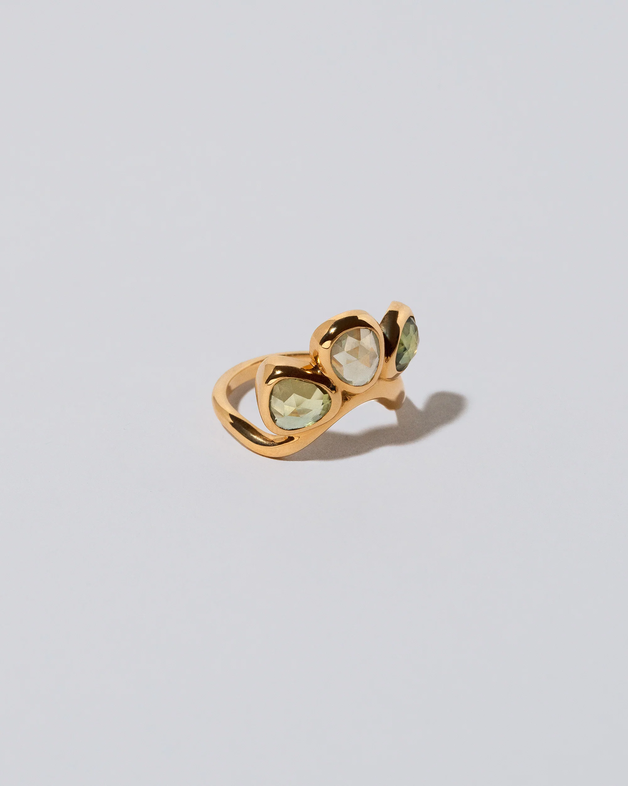 Future Life Ring - Image 4