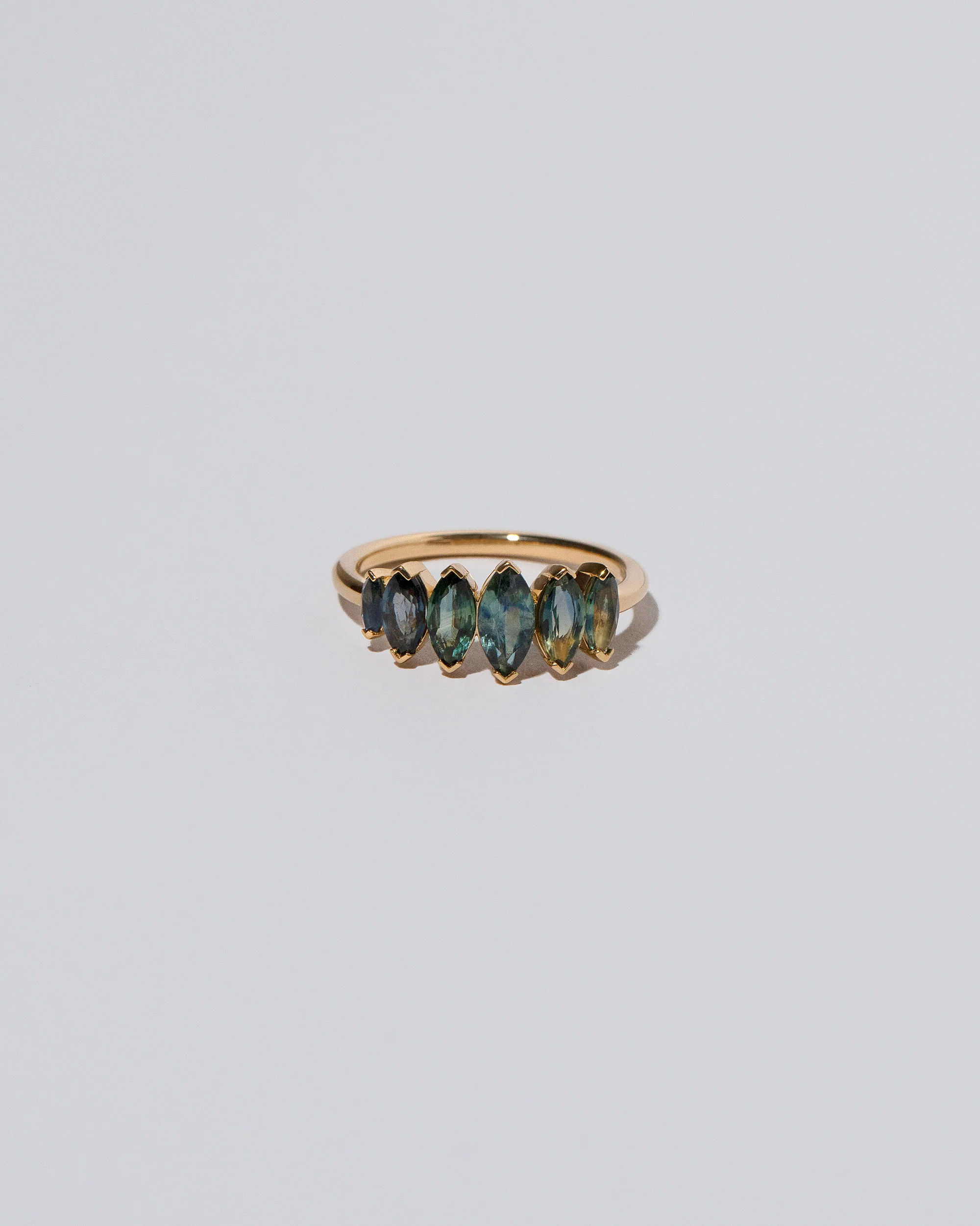 Hericium Ring