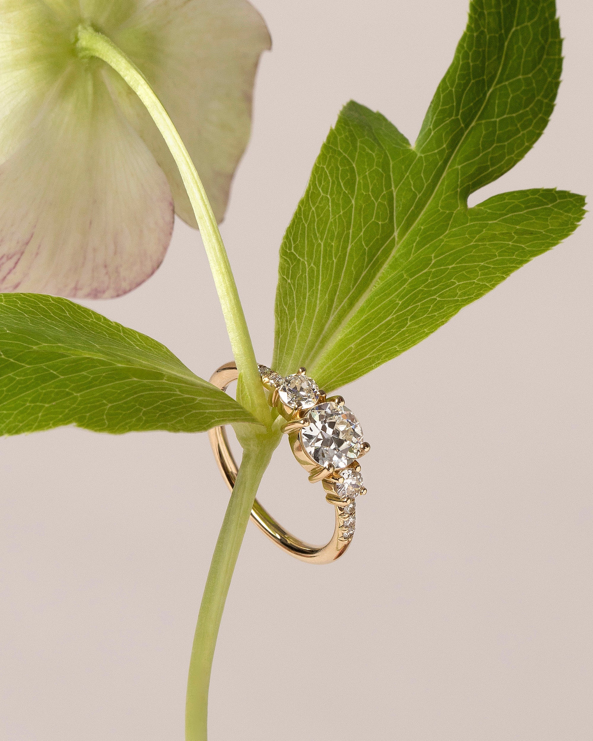 Orion Ring - Grand White Diamond - Image 4