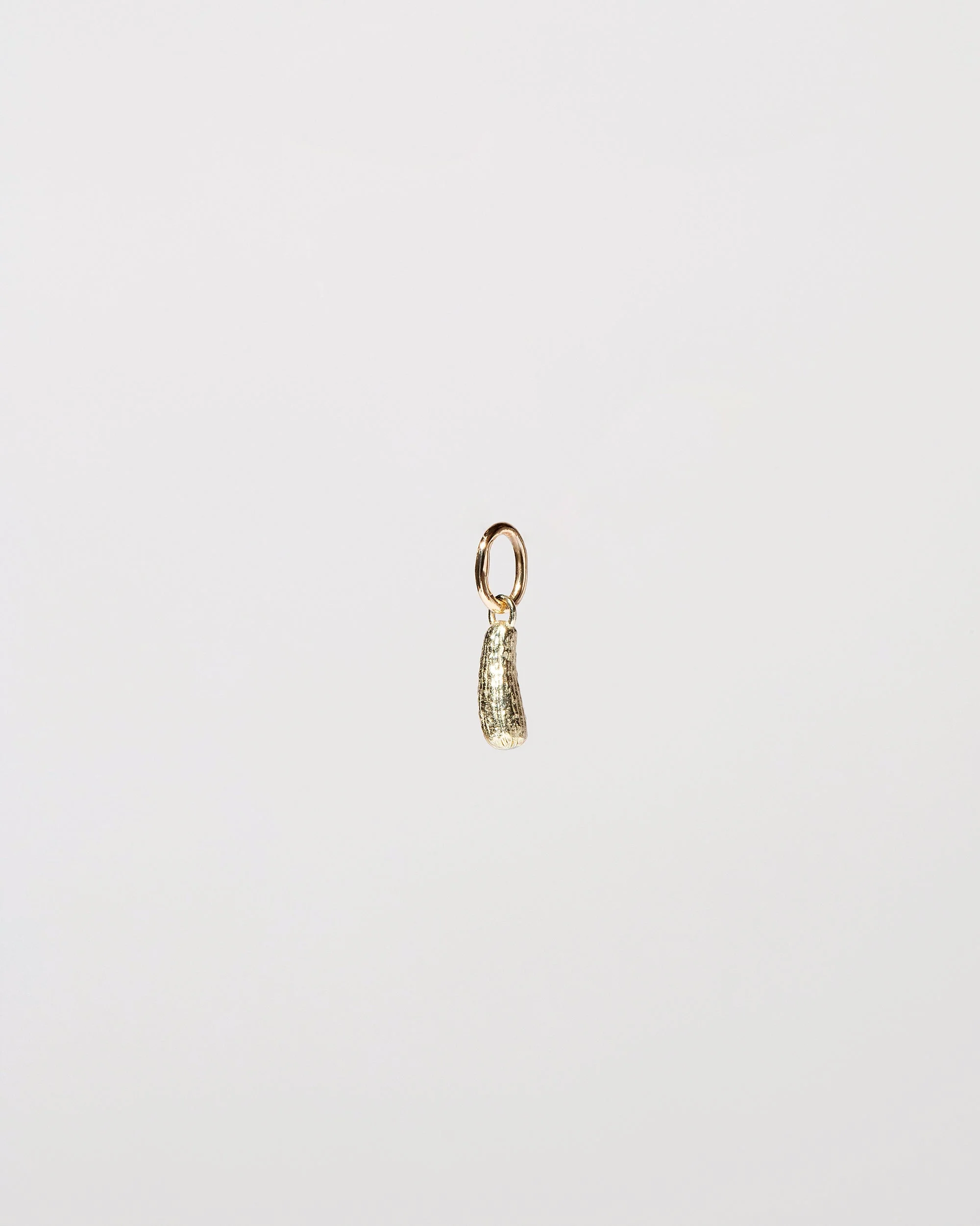 Pickle Charm