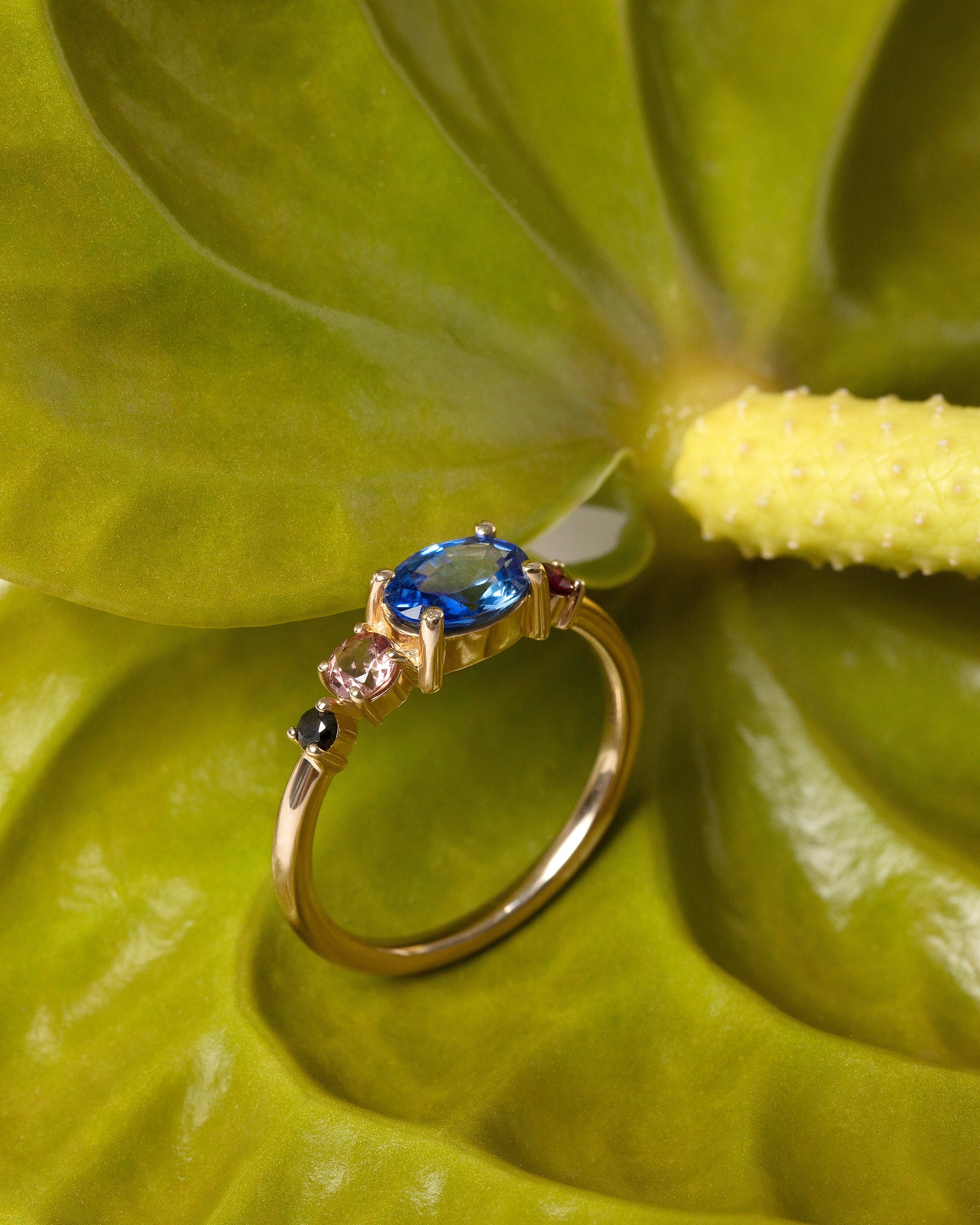 Polaris Ring - Image 5