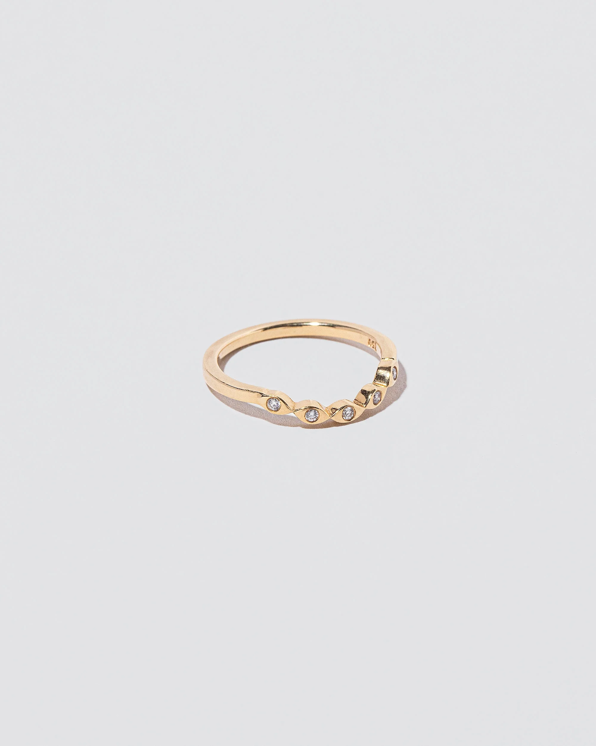 Seeing Eye Band - Image 2