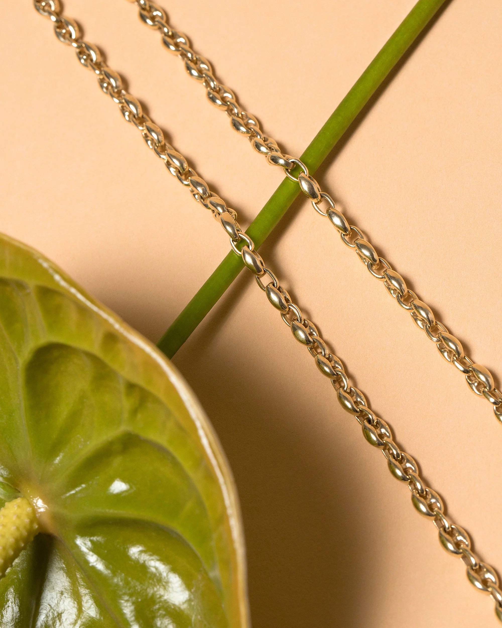 Segmented Chain - Bracelet - Image 4