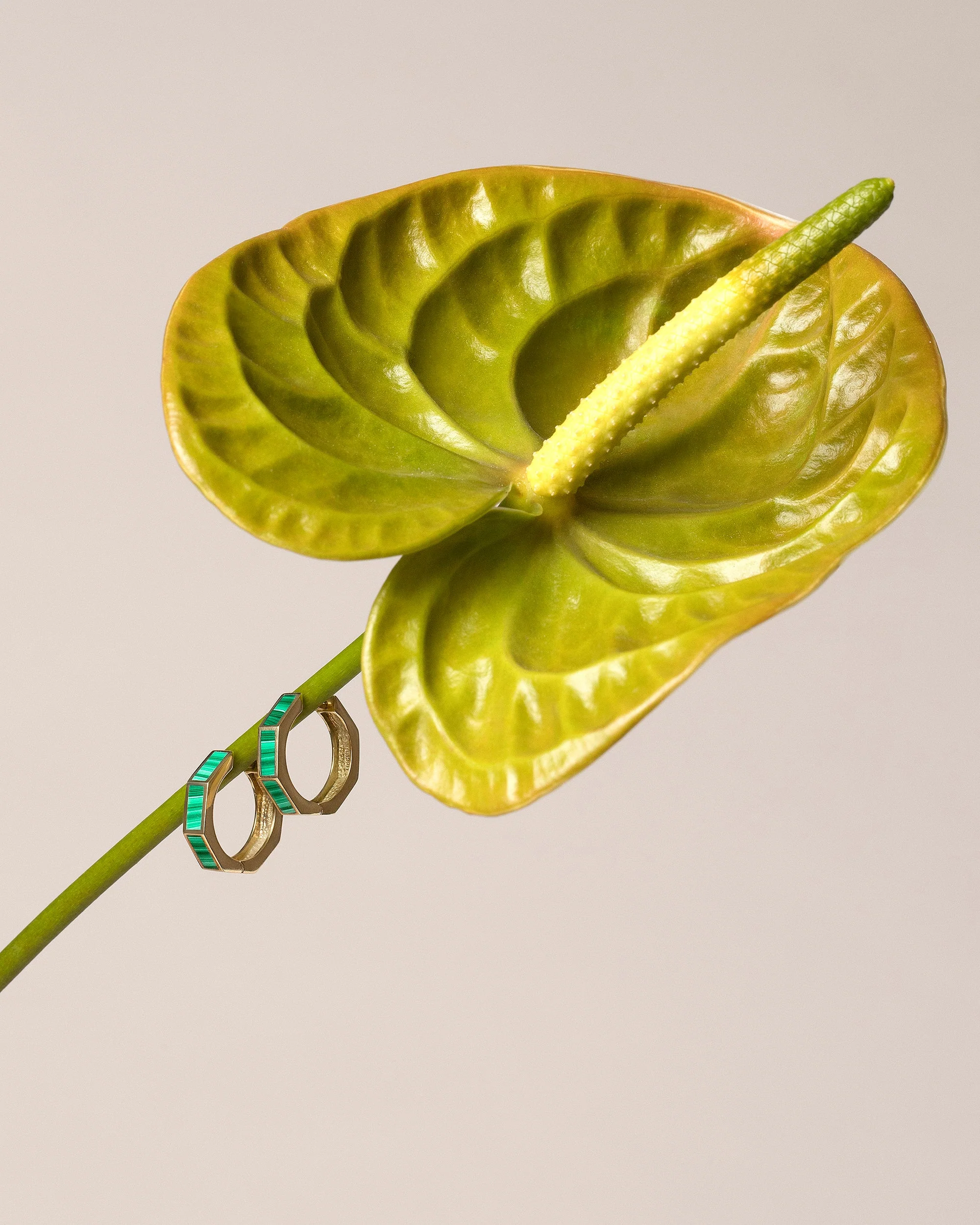 Segmented Hoop Earrings - Image 8