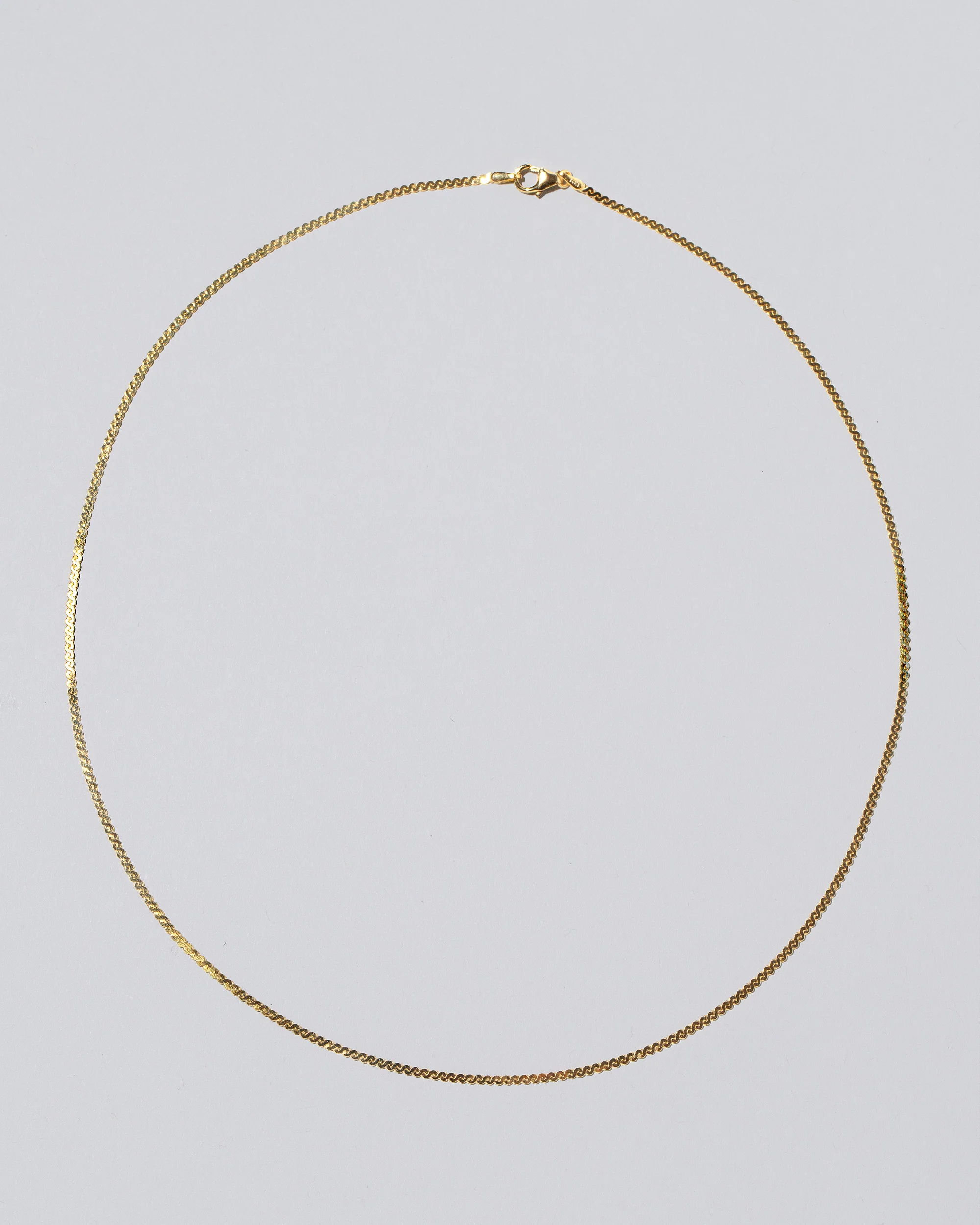 Serpentina Chain Necklace