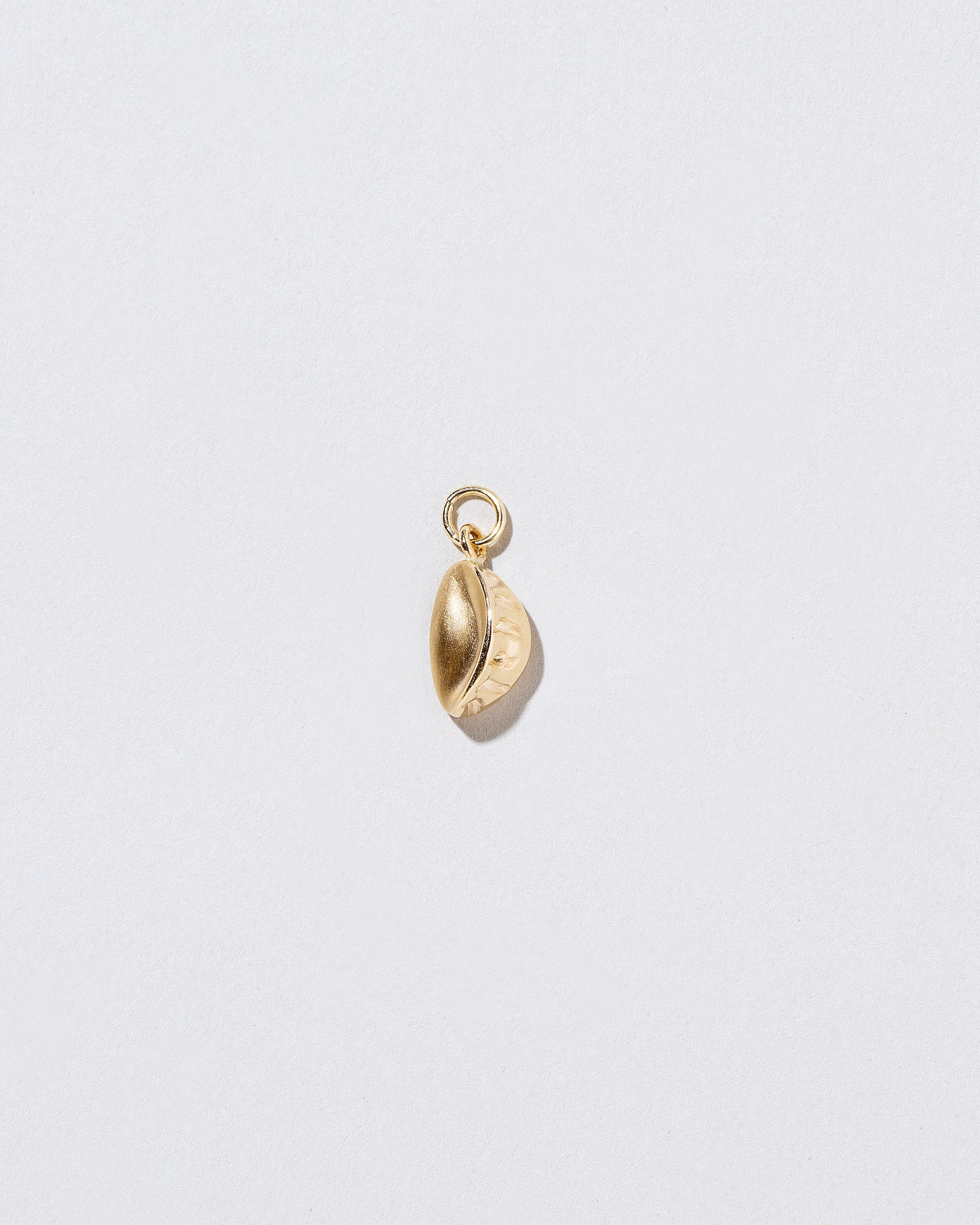 Steamed Dumpling Charm