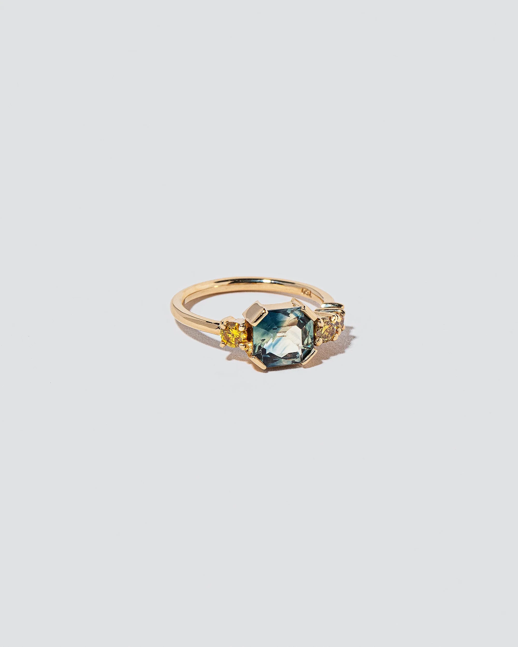 Vitrification Ring - Image 3