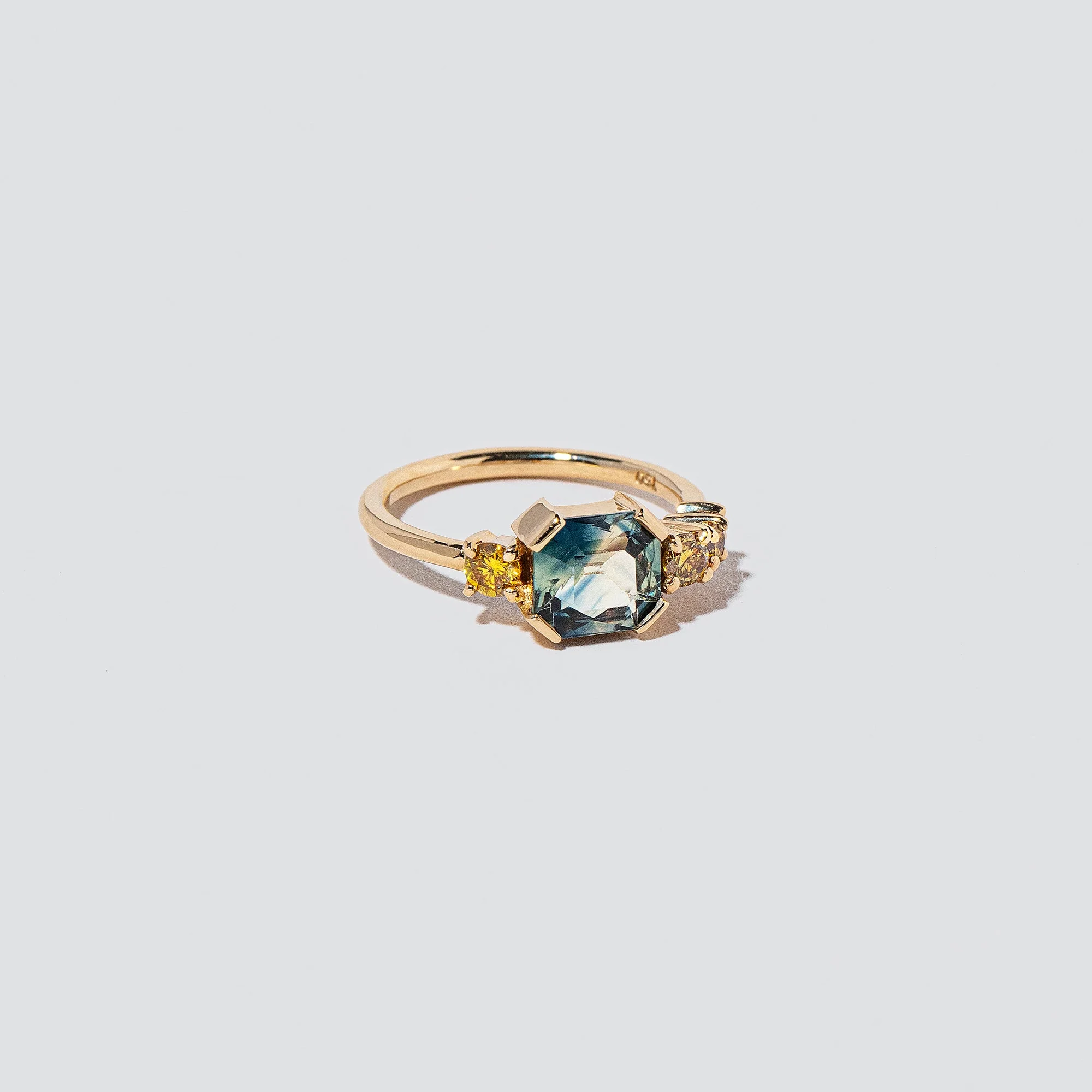 Vitrification Ring - Image 4