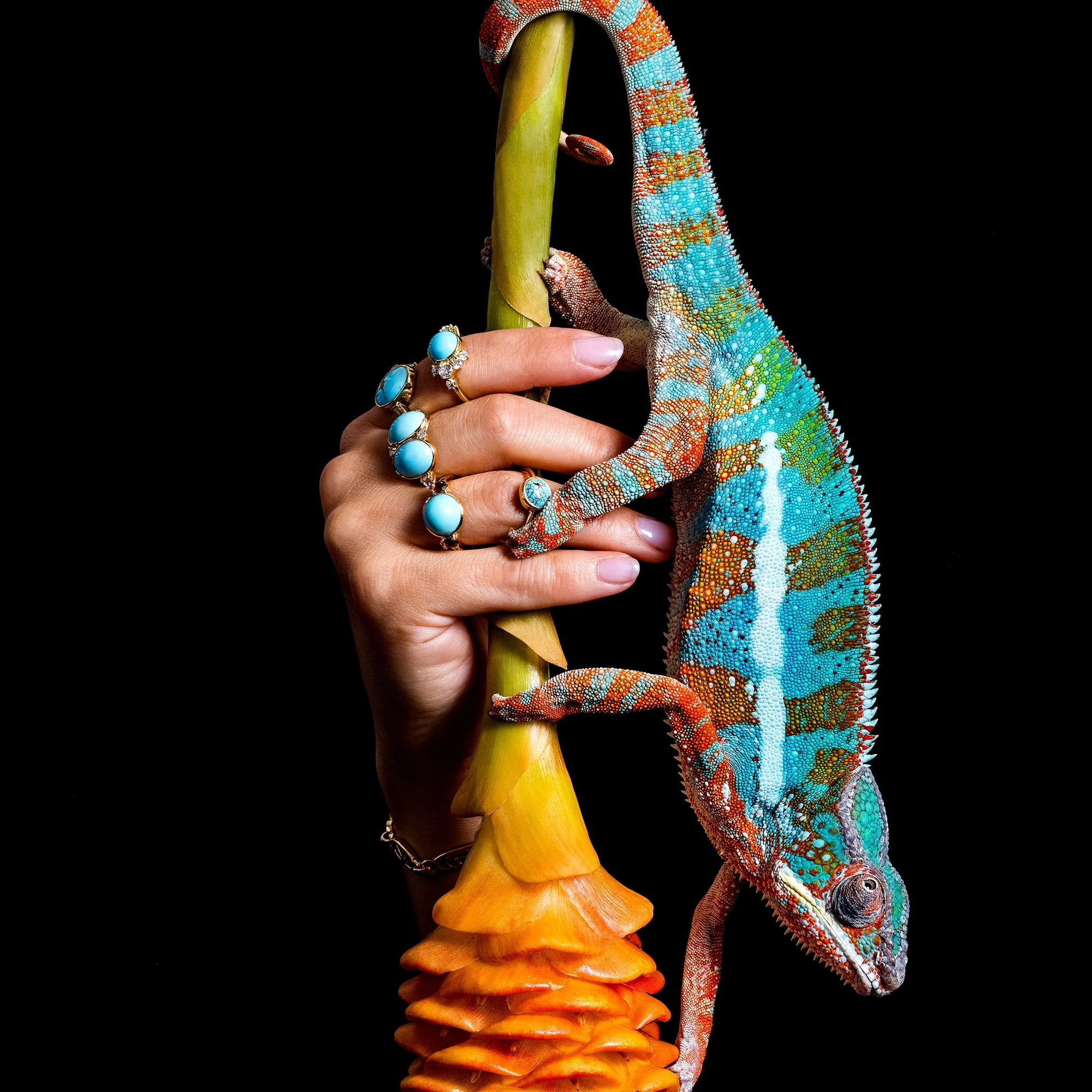 Waters Necklace - Image 3