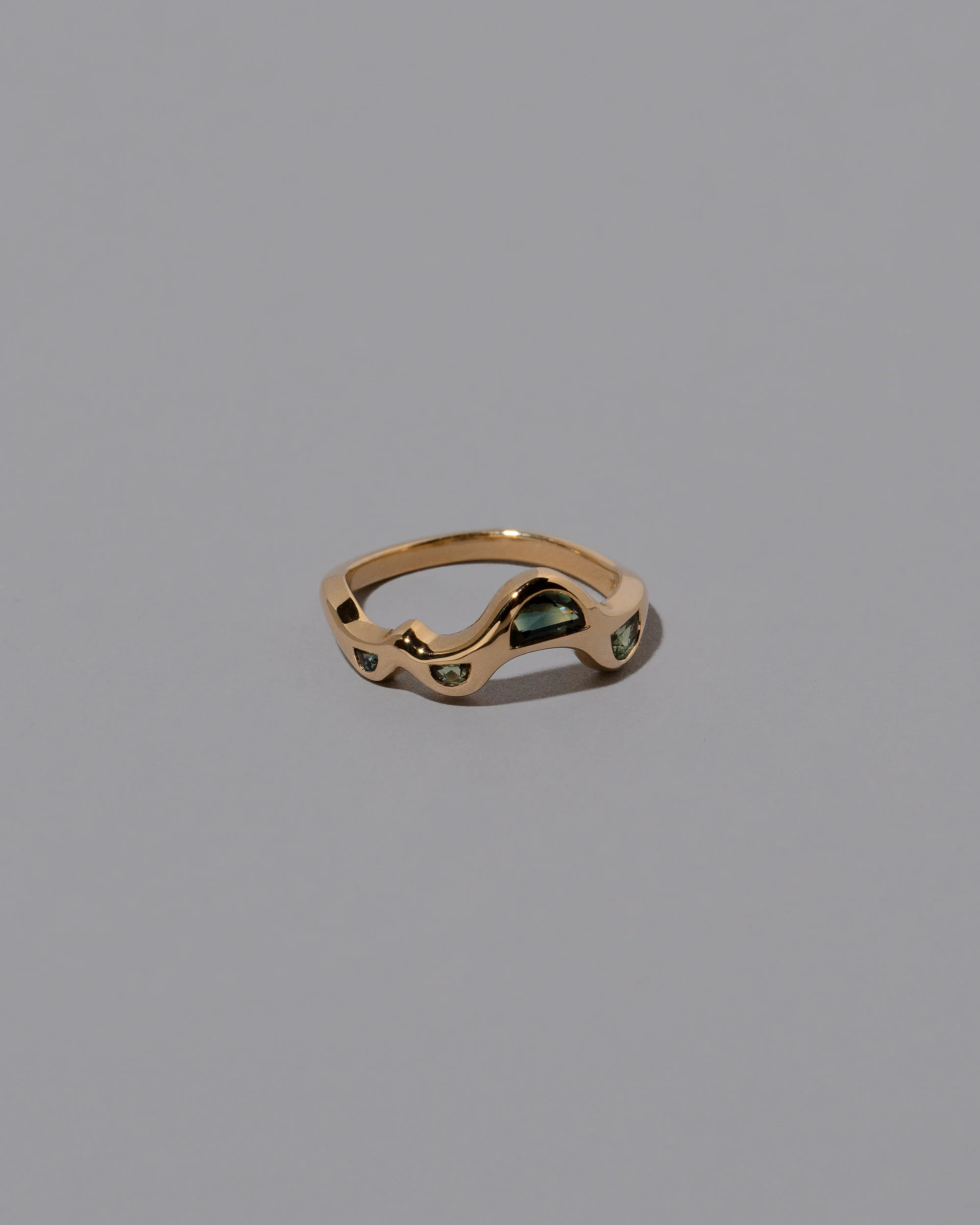 Wild Poppies Band - Image 3