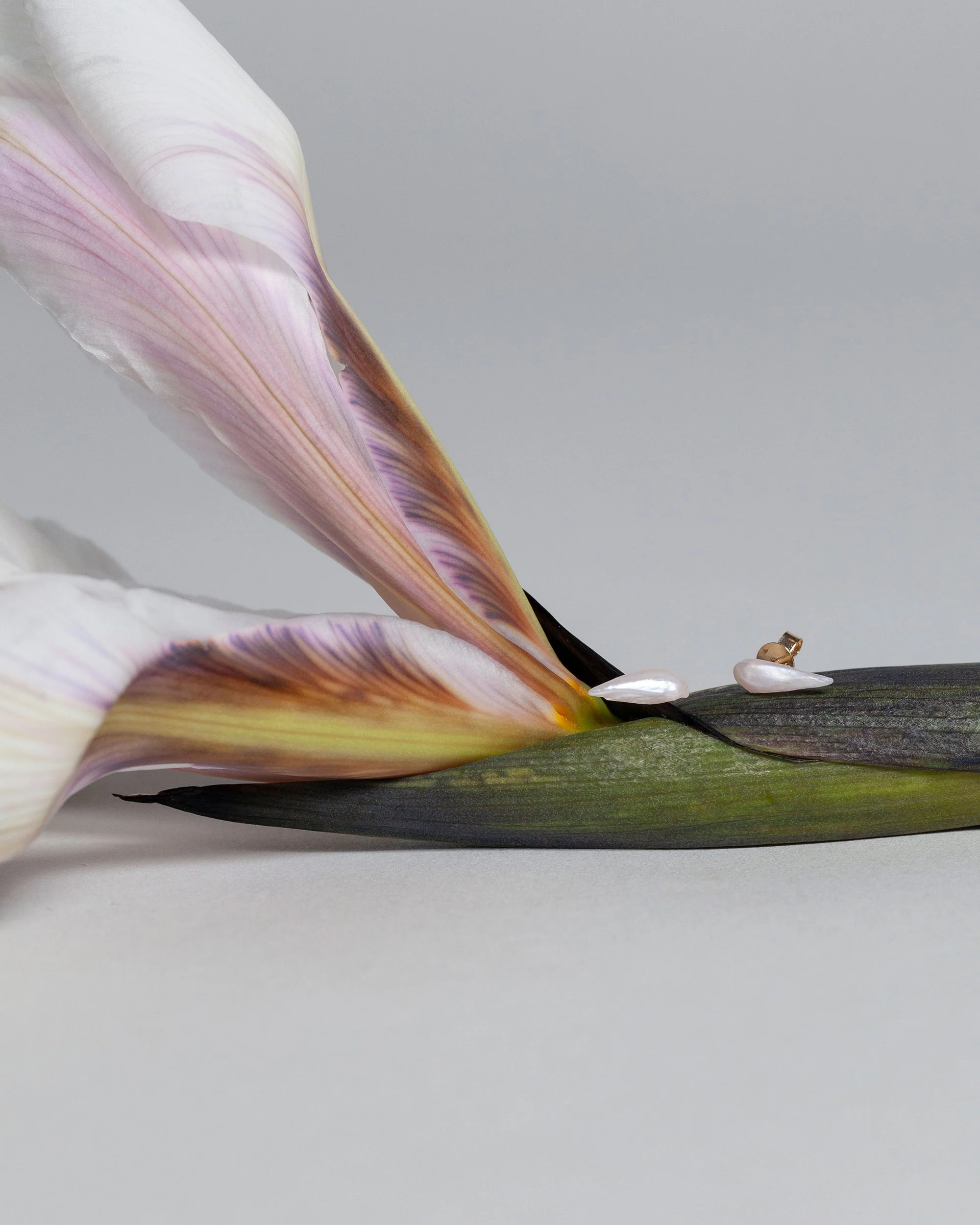 Wing Pearl Stud Earrings - Image 3