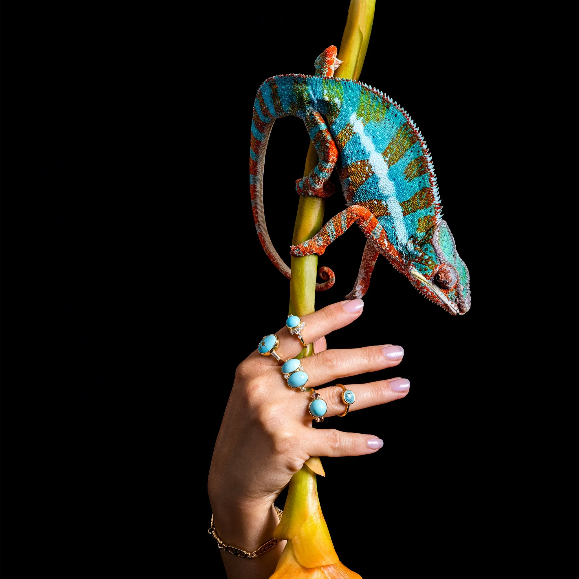 Wisdom Ring - Image 3